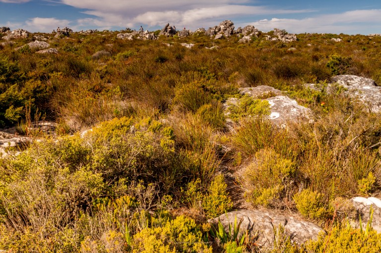 LR-2048-Landscape-5309