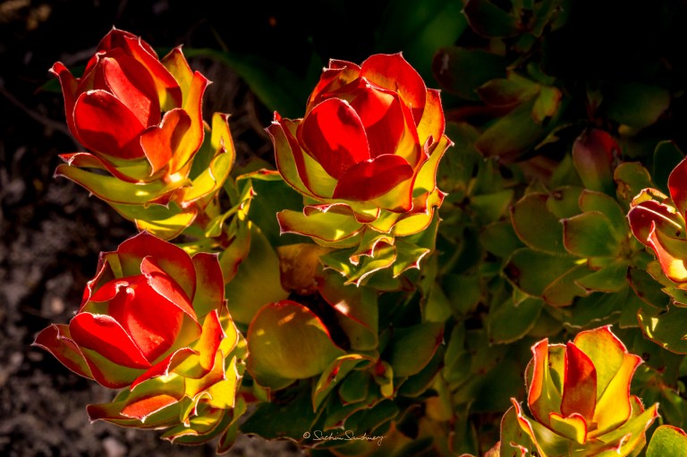 LR-2048-Landscape-5343