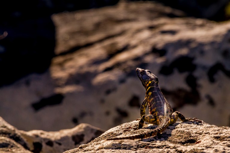 LR-2048-Landscape-5351