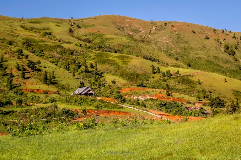 LR-2048-Landscape-0855