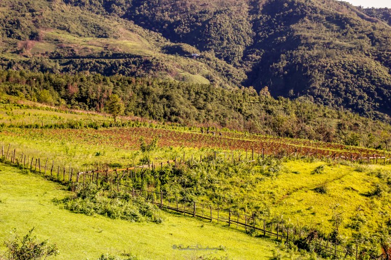 LR-2048-Landscape-0863