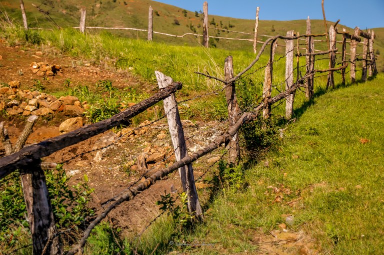 LR-2048-Landscape-0871