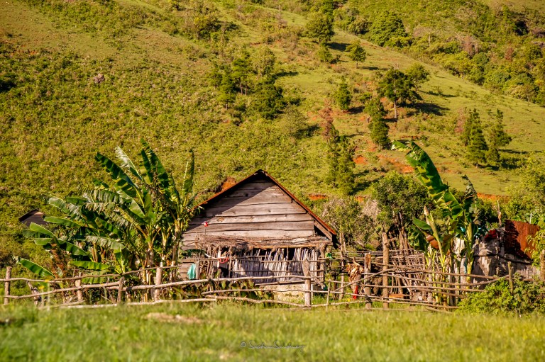 LR-2048-Landscape-0885