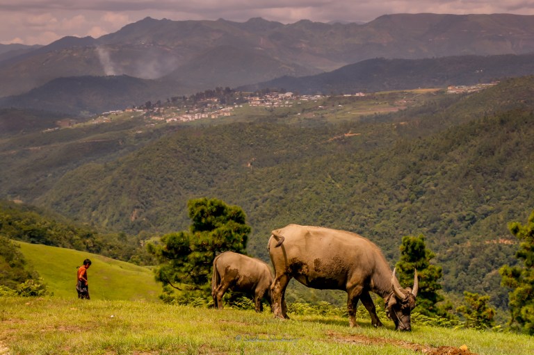 LR-2048-Landscape-0989