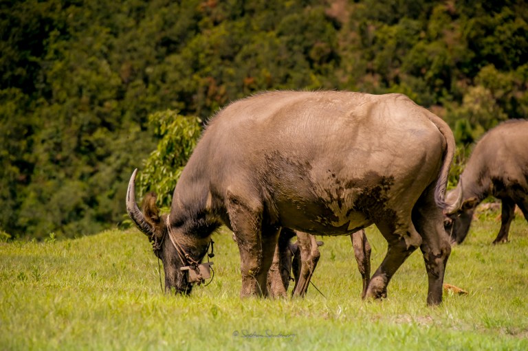 LR-2048-Landscape-0996