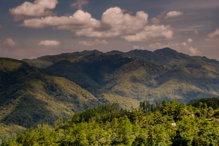 LR-2048-Landscape-1003