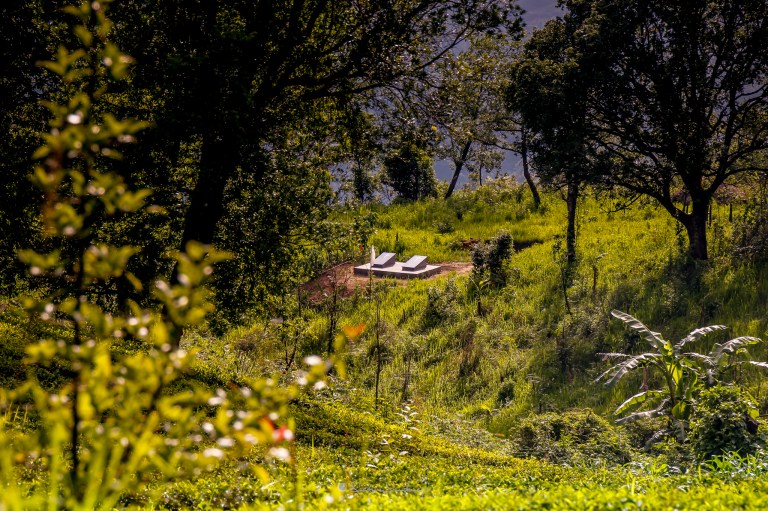 LR-2048-Landscape-1033