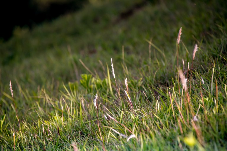 LR-2048-Landscape-1092